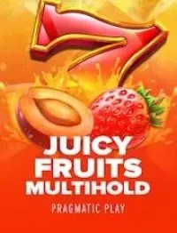 juicy fruits multihold official logo